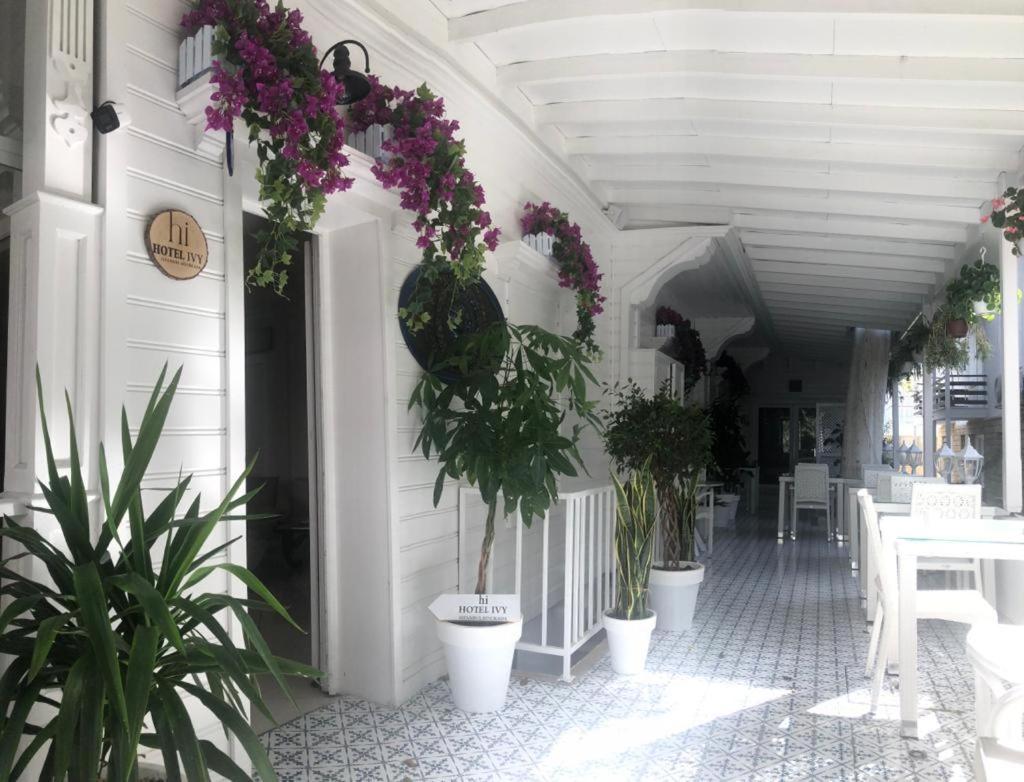 Hi Hotel Ivy Bueyuekada جزر الأمراء المظهر الخارجي الصورة